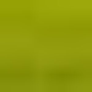 Profile photo of Aseret